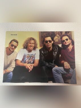 Van Halen Band Pinup - Multicolor